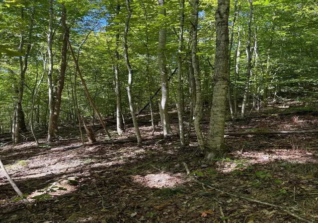 Photo 1 of Land for sale at 3825 Highway 191, West Liberty, KY 41472 | MLS# 26027443 | Listing updated on 2026-10-13