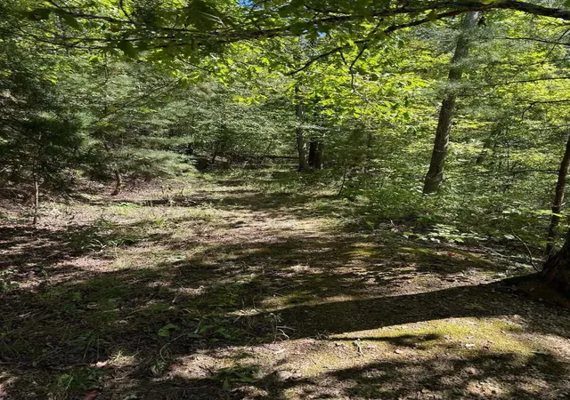 Photo 4 of Land for sale at 3825 Highway 191, West Liberty, KY 41472 | MLS# 26027443 | Listing updated on 2026-10-13