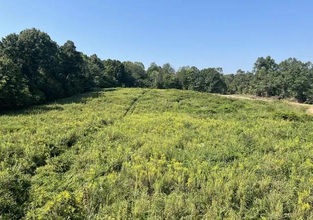 Land for sale at 0 Princeton Olney Rd, Princeton, KY 42445 | MLS# 26027619