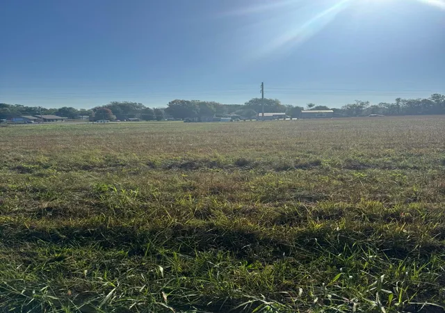 Photo 2 of Land for sale at 81 Little Clifty Crk Rd, Russell Springs, KY 42642 | MLS# 26028881 | Listing updated on 2026-10-19