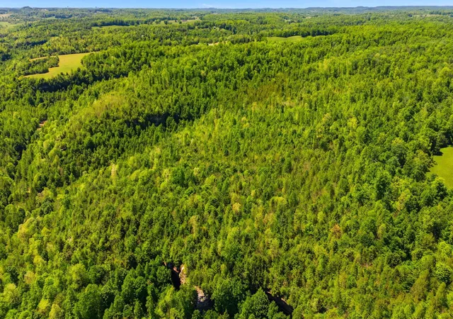 Photo 1 of Land for sale at 0 Cr 1426 Rd, Ezel, KY 41425 | MLS# 26027635 | Listing updated on 2026-10-13