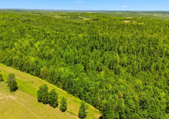 Photo 2 of Land for sale at 0 Cr 1426 Rd, Ezel, KY 41425 | MLS# 26027635 | Listing updated on 2026-10-13