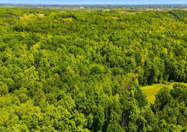 Photo 3 of Land for sale at 0 Cr 1426 Rd, Ezel, KY 41425 | MLS# 26027635 | Listing updated on 2026-10-13