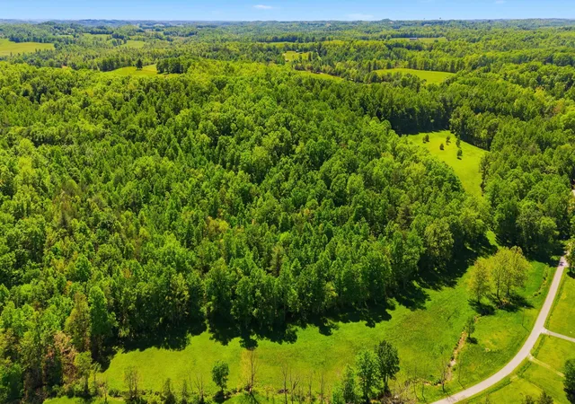 Photo 4 of Land for sale at 0 Cr 1426 Rd, Ezel, KY 41425 | MLS# 26027635 | Listing updated on 2026-10-13