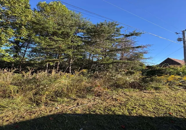 Photo 1 of Land for sale at 0 Turkey Ridge Rd #38, Wellington, KY 40387 | MLS# 26027929 | Listing updated on 2026-10-13