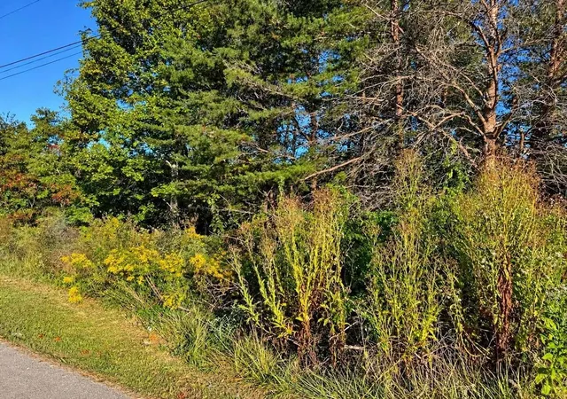 Photo 2 of Land for sale at 0 Turkey Ridge Rd #38, Wellington, KY 40387 | MLS# 26027929 | Listing updated on 2026-10-13