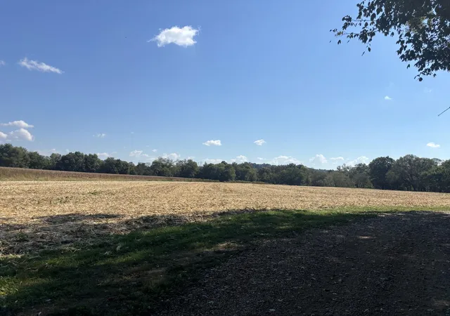 Photo 3 of Land for sale at 2144 Green River Valley Rd, Liberty, KY 42539 | MLS# 26027935 | Listing updated on 2026-10-13