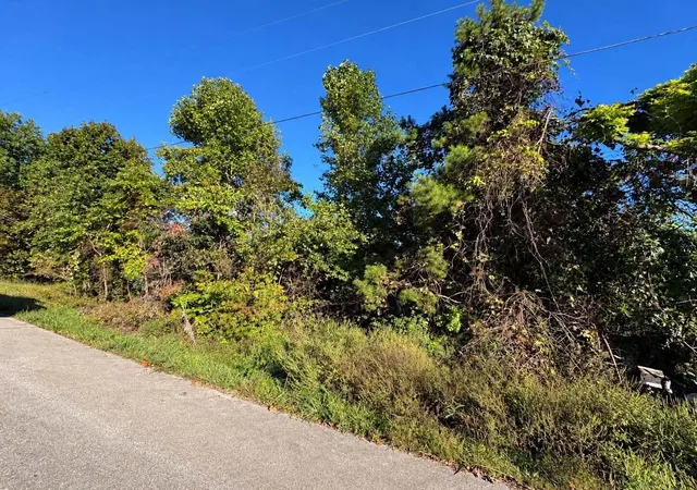 Photo 1 of Land for sale at 0 Turkey Ridge Rd #40, Wellington, KY 40387 | MLS# 26027939 | Listing updated on 2026-10-13