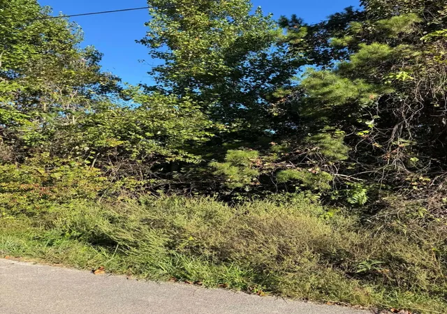 Photo 2 of Land for sale at 0 Turkey Ridge Rd #40, Wellington, KY 40387 | MLS# 26027939 | Listing updated on 2026-10-13