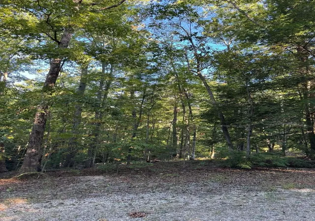 Photo 1 of Land for sale at 0 Turkey Ridge Rd #50, Wellington, KY 40387 | MLS# 26027952 | Listing updated on 2026-10-13