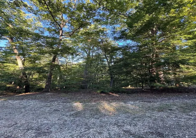 Photo 2 of Land for sale at 0 Turkey Ridge Rd #49, Wellington, KY 40387 | MLS# 26027953 | Listing updated on 2026-10-13