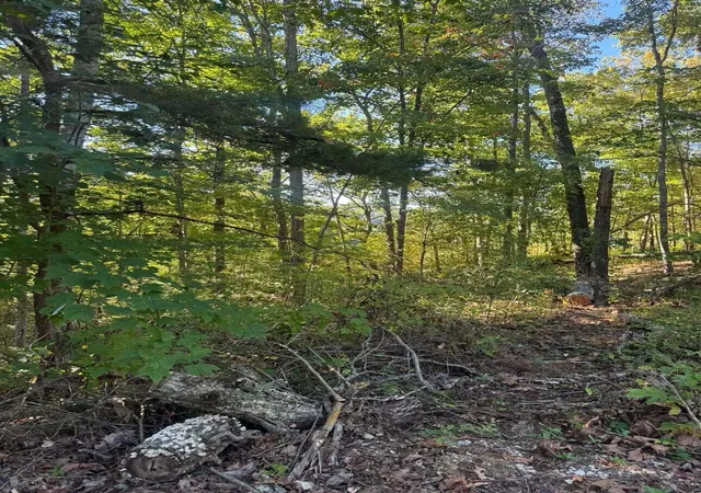 Photo 1 of Land for sale at 0 Ivy Ln #80, Wellington, KY 40387 | MLS# 26027956 | Listing updated on 2026-10-13