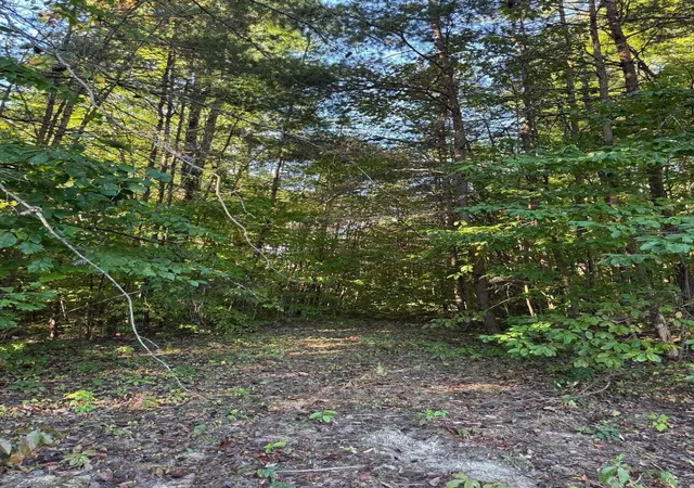 Photo 1 of Land for sale at 0 Jordan Ct #7-10-13-17, Wellington, KY 40387 | MLS# 26027958 | Listing updated on 2026-10-13