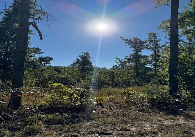 Photo 1 of Land for sale at 0 Ryan Rd, Wellington, KY 40387 | MLS# 26027964 | Listing updated on 2026-10-13