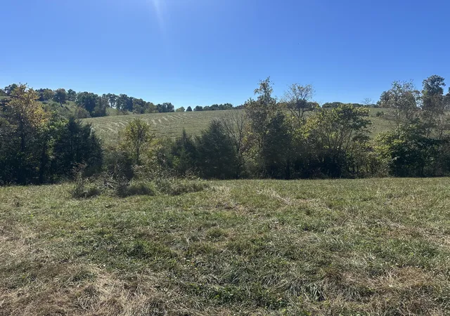 Photo 4 of House for sale at 358 Bobtown Garnett Rd, Cynthiana, KY 41031 | MLS# 26028006 | Listing updated on 2026-10-13
