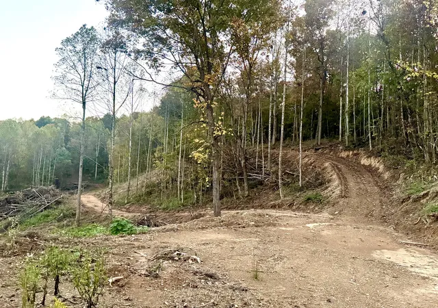 Photo 3 of Land for sale at 000 Ray Johnson Rd, East Bernstadt, KY 40729 | MLS# 26028460 | Listing updated on 2026-10-14