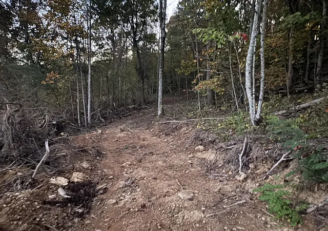 Photo 3 of Land for sale at 000 Ray Johnson Rd, East Bernstadt, KY 40729 | MLS# 26028460 | Listing updated on 2026-10-14