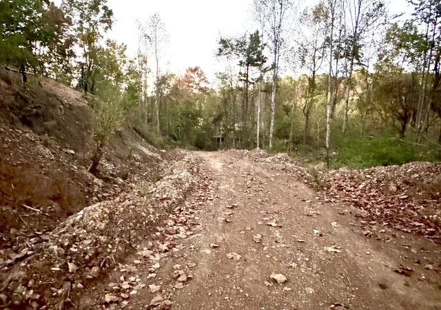 Photo 4 of Land for sale at 000 Ray Johnson Rd, East Bernstadt, KY 40729 | MLS# 26028460 | Listing updated on 2026-10-14