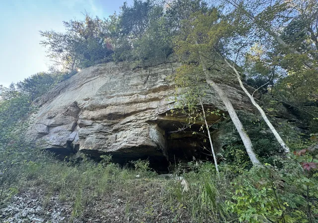 Photo 1 of Land for sale at 299 Gold Mine Rd, Pine Ridge, KY 41360 | MLS# 26028152 | Listing updated on 2026-10-13