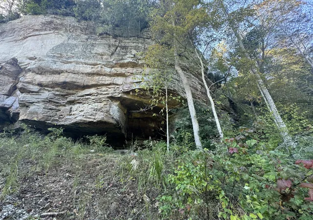 Photo 4 of Land for sale at 299 Gold Mine Rd, Pine Ridge, KY 41360 | MLS# 26028152 | Listing updated on 2026-10-13