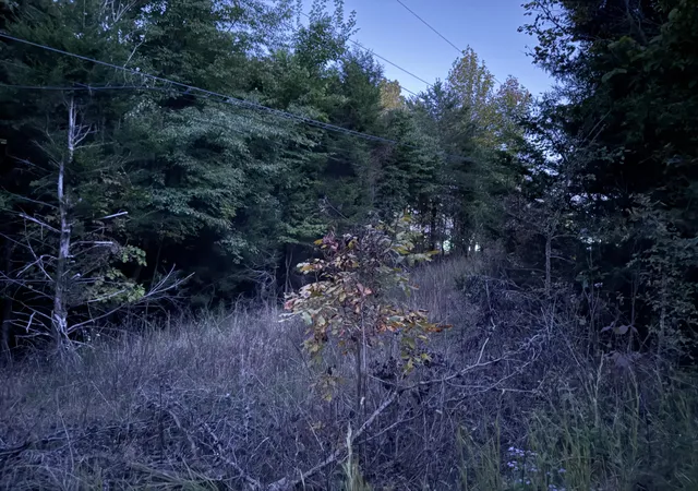 Photo 3 of Land for sale at 0 Meadow Ln #0, Monticello, KY 42633 | MLS# 26028322 | Listing updated on 2026-10-21