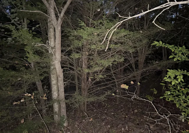 Photo 4 of Land for sale at 0 Meadow Ln #0, Monticello, KY 42633 | MLS# 26028322 | Listing updated on 2026-10-21