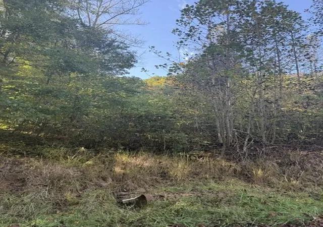 Land for sale at 0000 Co Rd 2027, Campton, KY 41301 | MLS# 26028279