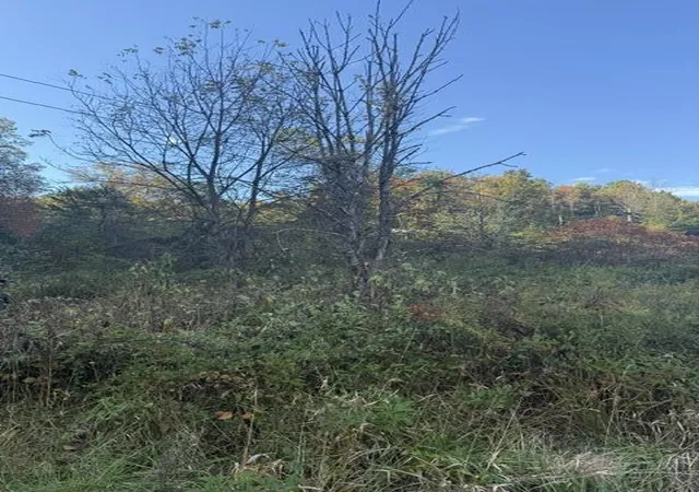 Photo 2 of Land for sale at 0000 Co Rd 2027, Campton, KY 41301 | MLS# 26028279 | Listing updated on 2026-10-13