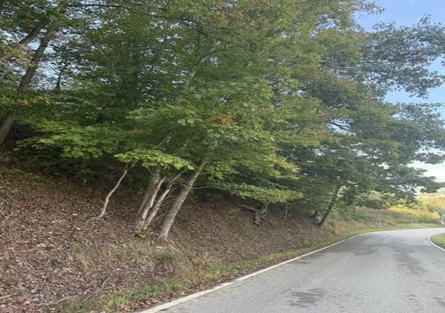 Photo 4 of Land for sale at 0000 Co Rd 2027, Campton, KY 41301 | MLS# 26028279 | Listing updated on 2026-10-13