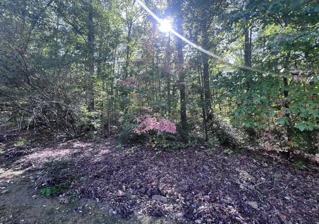 Photo 3 of Sale Pending at 29 Brush Mountain Cir, Miracle, KY 40856 | MLS# 26028384 | Listing updated on 2026-10-16