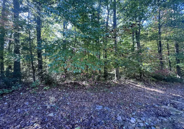 Photo 4 of Sale Pending at 29 Brush Mountain Cir, Miracle, KY 40856 | MLS# 26028384 | Listing updated on 2026-10-16