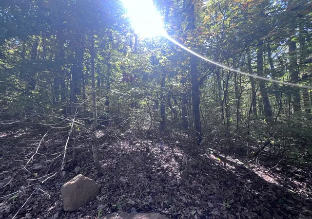 Photo 4 of Land for sale at 28 Brush Mountain Cir, Miracle, KY 40856 | MLS# 26028387 | Listing updated on 2026-10-14