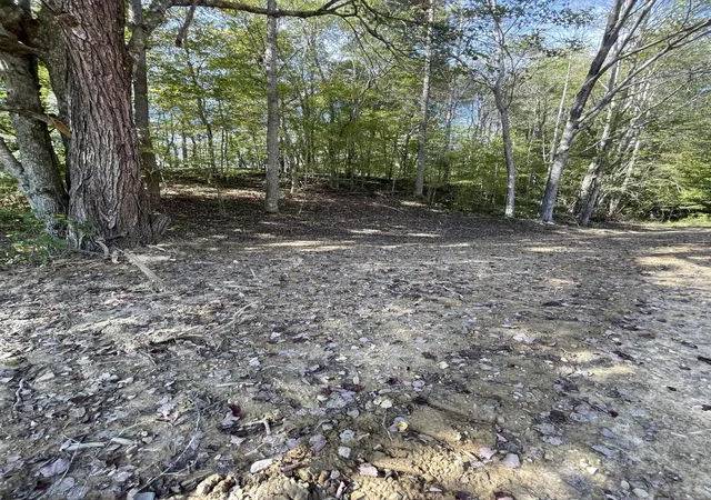 Photo 4 of Land for sale at 388 Prewitt Rd, Woodbine, KY 40771 | MLS# 26028435 | Listing updated on 2026-10-15