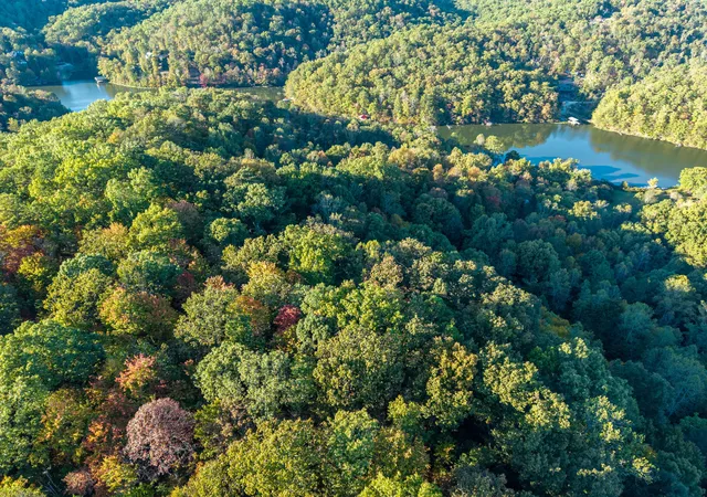 Land for sale at Lot 45-47 Left Frk Fishermans Cvs Rd, London, KY 40741 | MLS# 26028574