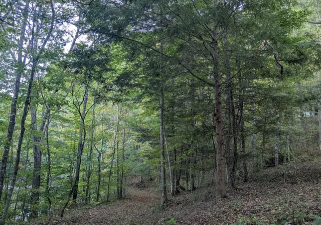 Photo 4 of Land for sale at Lot 45-47 Left Frk Fishermans Cvs Rd, London, KY 40741 | MLS# 26028574 | Listing updated on 2026-10-16