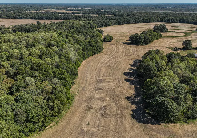 Photo 1 of Land for sale at 00 Blandville Rd, Wickliffe, KY 42087 | MLS# 26028616 | Listing updated on 2026-10-20
