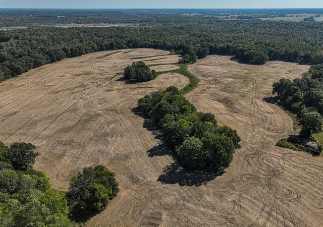 Photo 3 of Land for sale at 00 Blandville Rd, Wickliffe, KY 42087 | MLS# 26028616 | Listing updated on 2026-10-20