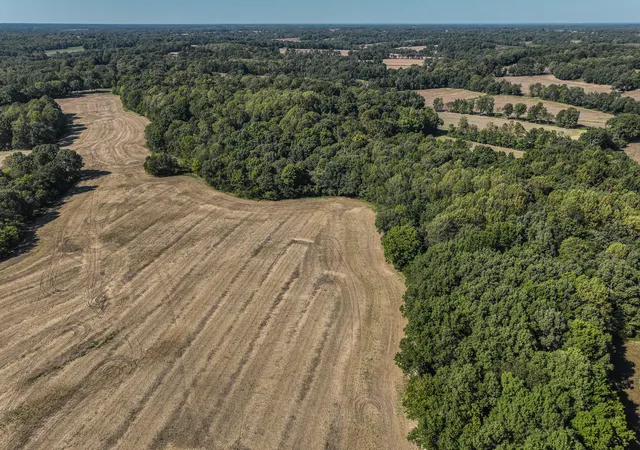 Photo 3 of Land for sale at 00 Blandville Rd, Wickliffe, KY 42087 | MLS# 26028616 | Listing updated on 2026-10-20