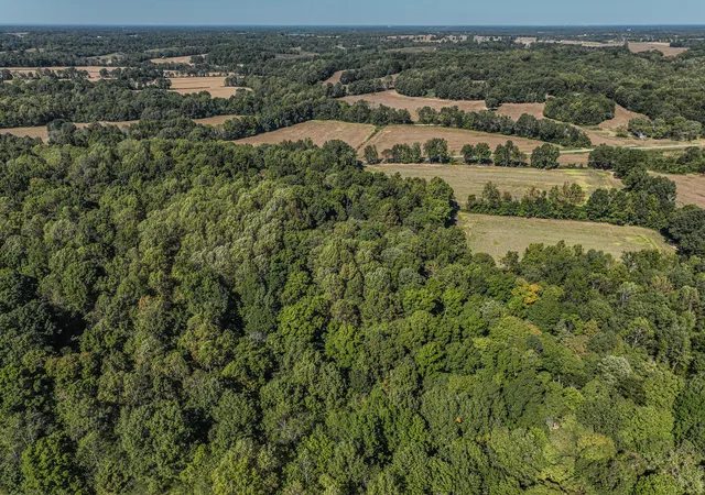 Photo 4 of Land for sale at 00 Blandville Rd, Wickliffe, KY 42087 | MLS# 26028616 | Listing updated on 2026-10-20