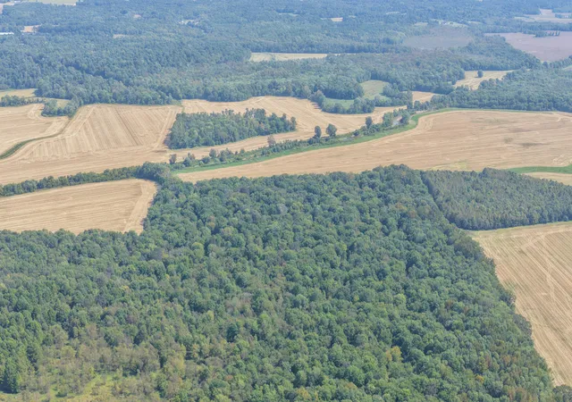 Photo 1 of Land for sale at 0 State Route 301, Hickory, KY 42051 | MLS# 26028629 | Listing updated on 2026-10-20
