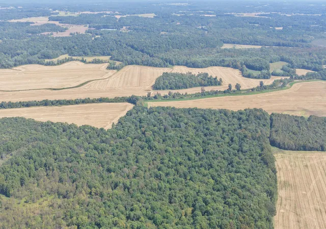 Photo 2 of Land for sale at 0 State Route 301, Hickory, KY 42051 | MLS# 26028629 | Listing updated on 2026-10-20