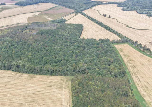 Photo 3 of Land for sale at 0 State Route 301, Hickory, KY 42051 | MLS# 26028629 | Listing updated on 2026-10-20