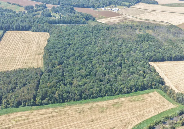 Photo 4 of Land for sale at 0 State Route 301, Hickory, KY 42051 | MLS# 26028629 | Listing updated on 2026-10-20