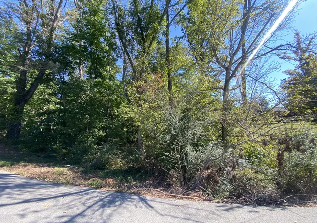 Photo 2 of Land for sale at 005 Streetland Dr, Cadiz, KY 42211 | MLS# 26028558 | Listing updated on 2026-10-21