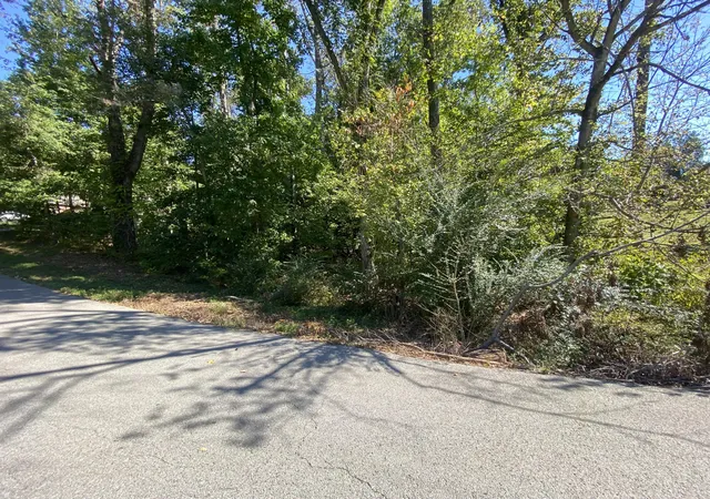 Photo 3 of Land for sale at 005 Streetland Dr, Cadiz, KY 42211 | MLS# 26028558 | Listing updated on 2026-10-21