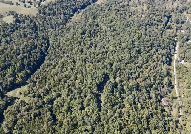 Photo 2 of Land for sale at 000 Harmony Rd, Owenton, KY 40359 | MLS# 26028579 | Listing updated on 2026-10-15