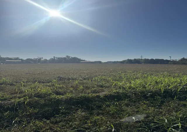 Land for sale at 436 Reese Rd, Russell Springs, KY 42642 | MLS# 26028876