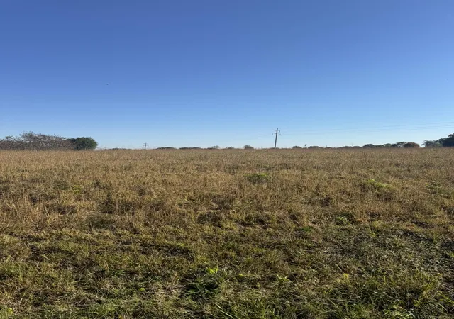 Photo 3 of Land for sale at 436 Reese Rd, Russell Springs, KY 42642 | MLS# 26028876 | Listing updated on 2026-10-19
