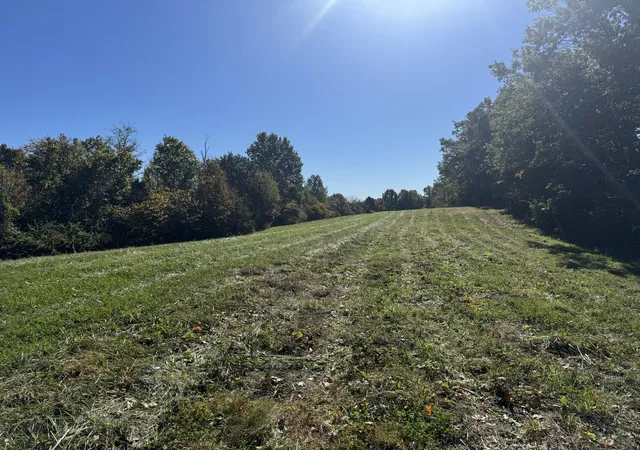 Photo 2 of House for sale at 3350 Bald Hl Rd, Carlisle, KY 40311 | MLS# 26028948 | Listing updated on 2026-10-20