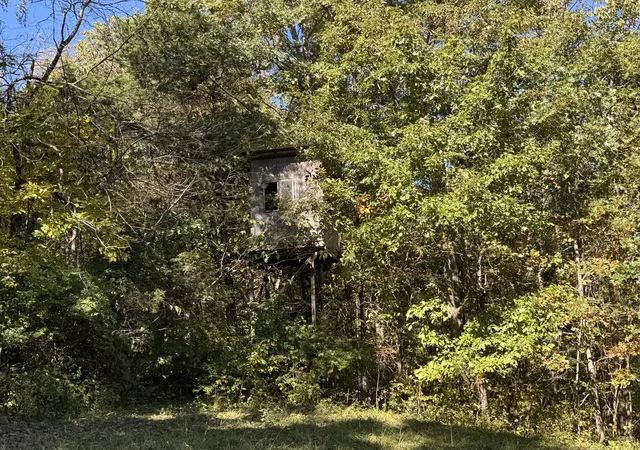 Photo 4 of House for sale at 3350 Bald Hl Rd, Carlisle, KY 40311 | MLS# 26028948 | Listing updated on 2026-10-20